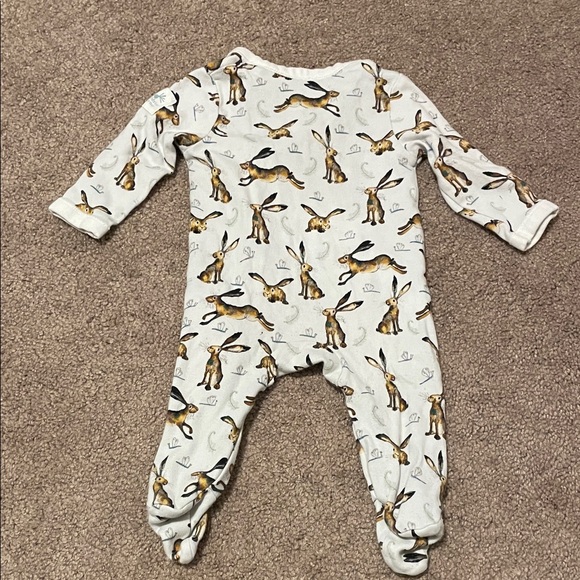 Catherine Rayner - Picture 5 of 5